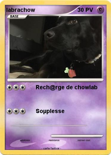 Pokemon labrachow