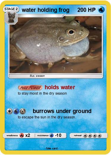 Pokemon water holding frog