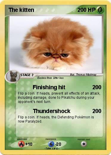 Pokemon The kitten