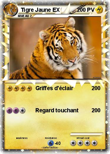 Pokemon Tigre Jaune EX