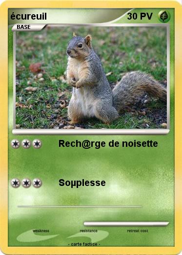 Pokemon écureuil