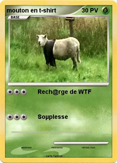 Pokemon mouton en t-shirt