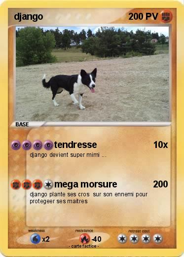 Pokemon django