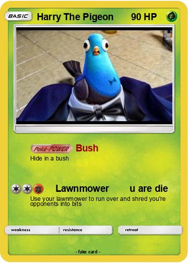 Pokemon Harry The Pigeon
