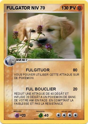 Pokemon FULGATOR NIV 70
