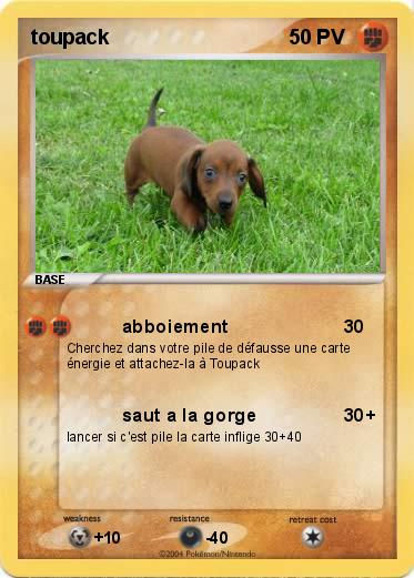 Pokemon toupack