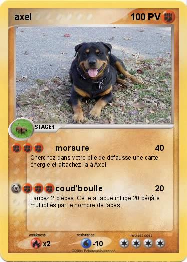 Pokemon axel