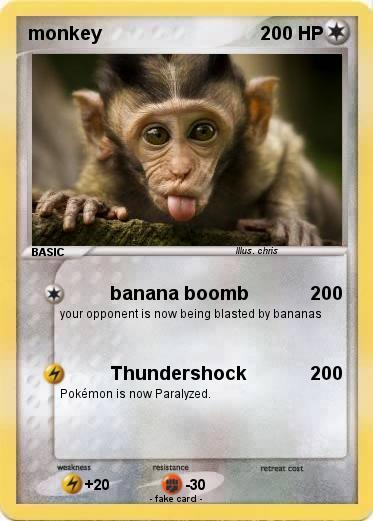 Pokemon monkey
