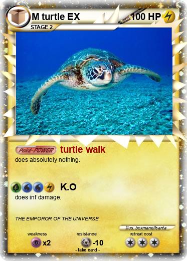 Pokemon M turtle EX