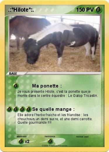 Pokemon .:°Hilote°:.