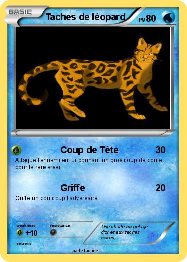 Pokemon Taches de léopard