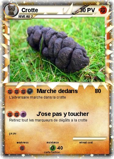 Pokemon Crotte