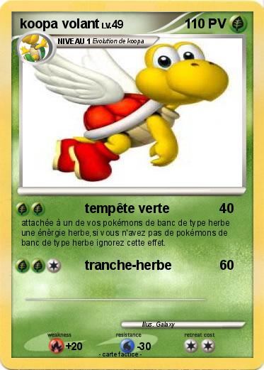 Pokemon koopa volant