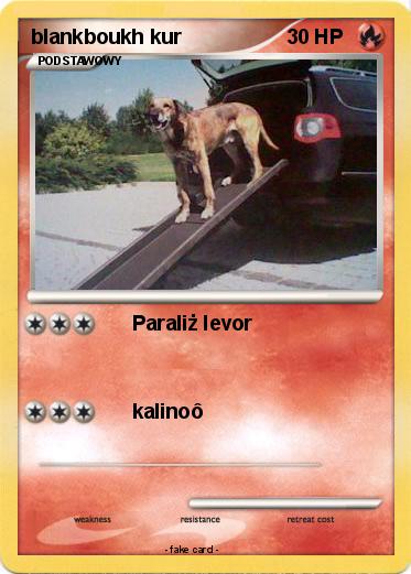 Pokemon blankboukh kur
