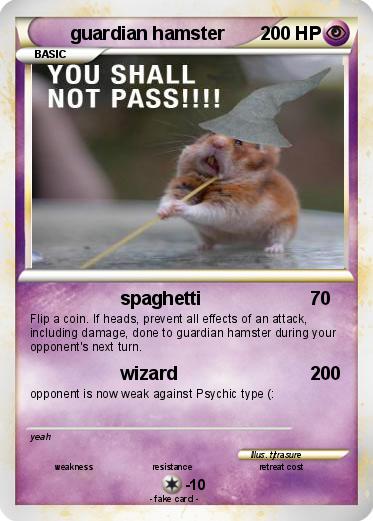 Pokemon guardian hamster