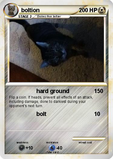 Pokemon boltion