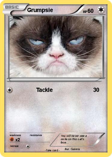 Pokemon Grumpsie