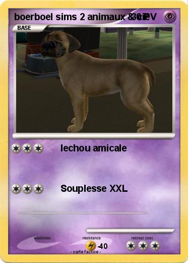 Pokemon boerboel sims 2 animaux & cie