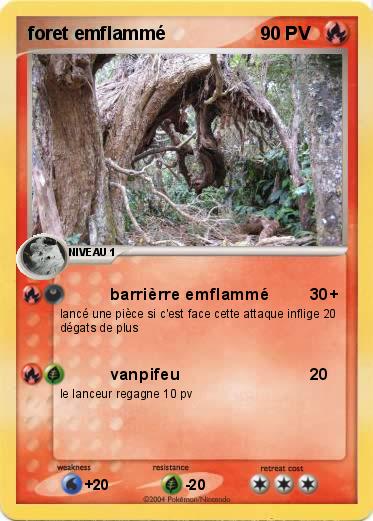 Pokemon foret emflammé