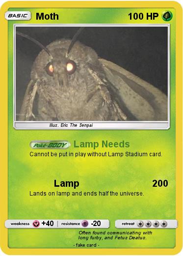 Pokemon Moth