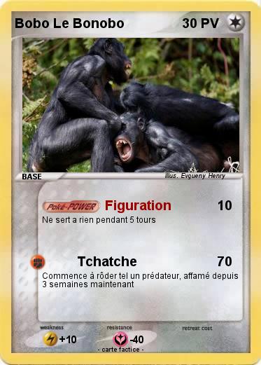 Pokemon Bobo Le Bonobo