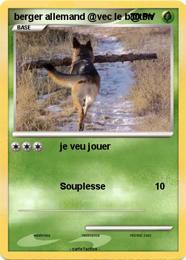 Pokemon berger allemand @vec le b@ton