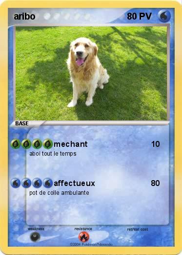 Pokemon aribo