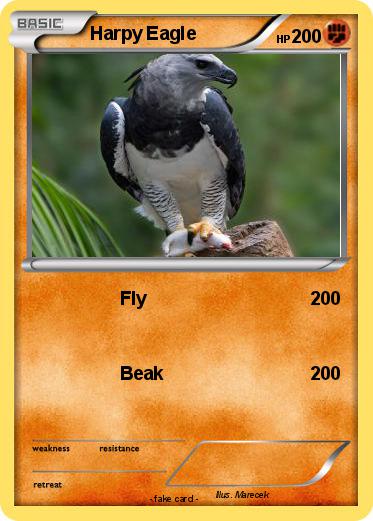 Pokemon Harpy Eagle