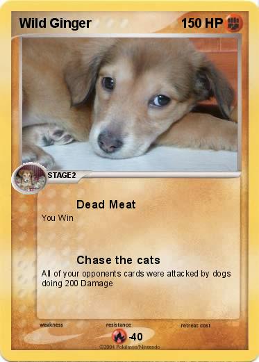 Pokemon Wild Ginger
