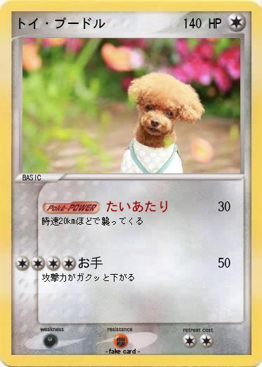 Pokemon トイ・プードル