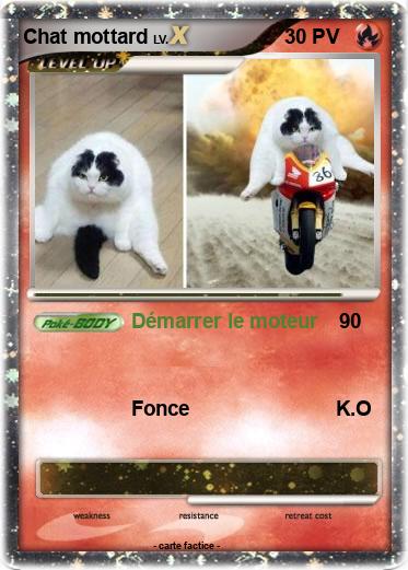 Pokemon Chat mottard