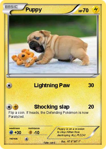 Pokemon Puppy