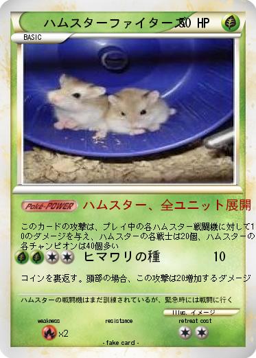 Pokemon ハムスターファイターズ