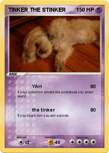 Pokemon TINKER THE STINKER