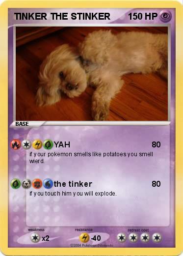 Pokemon TINKER THE STINKER