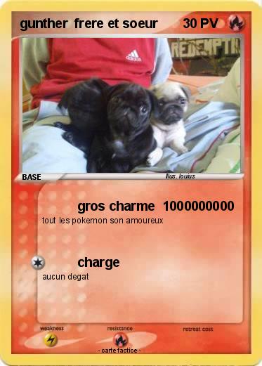 Pokemon gunther  frere et soeur
