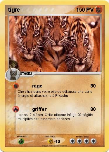 Pokemon tigre