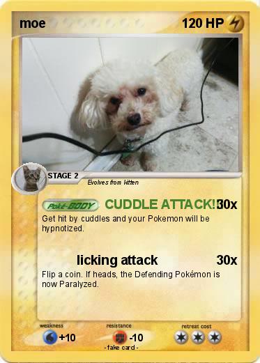 Pokemon moe