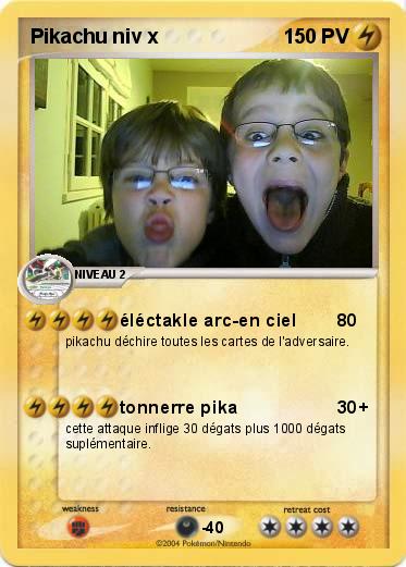 Pokemon Pikachu niv x