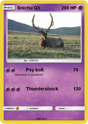 Pokemon Snichu GX