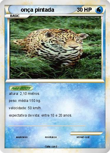 Pokemon onça pintada