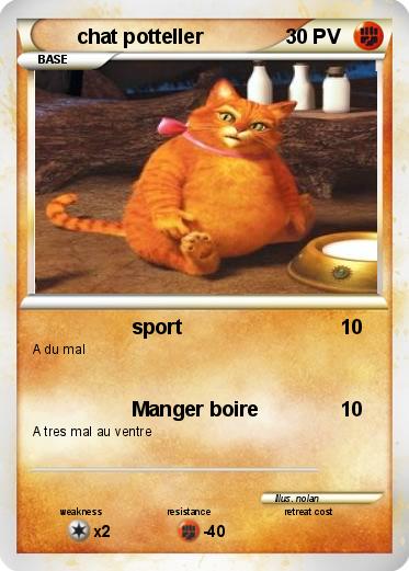 Pokemon chat potteller
