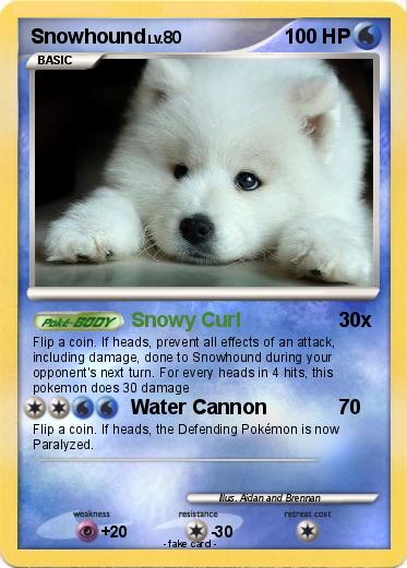 Pokemon Snowhound