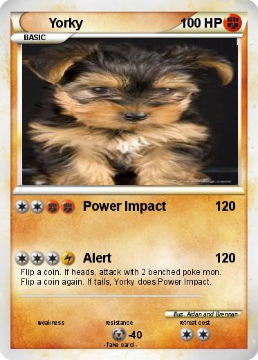 Pokemon Yorky