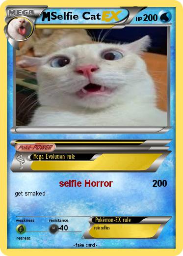 Pokemon Selfie Cat