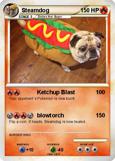 Pokemon Steamdog