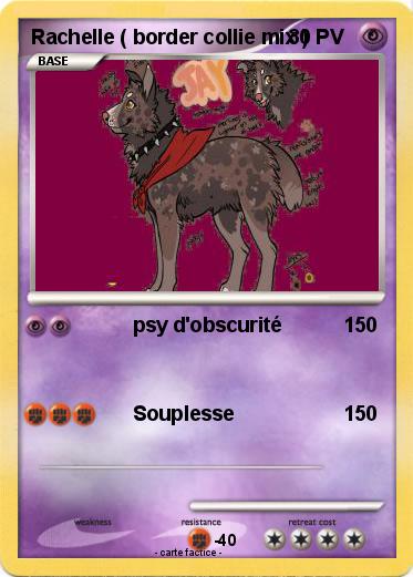 Pokemon Rachelle ( border collie mix )