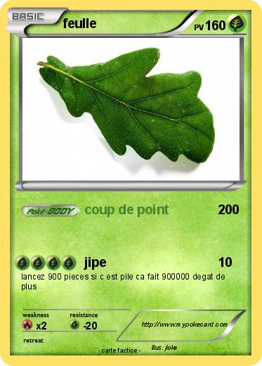 Pokemon feulle