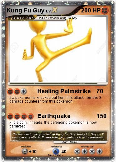 Pokemon Kung Fu Guy