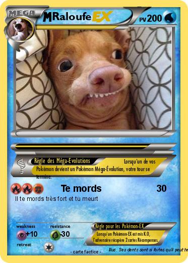 Pokemon Raloufe